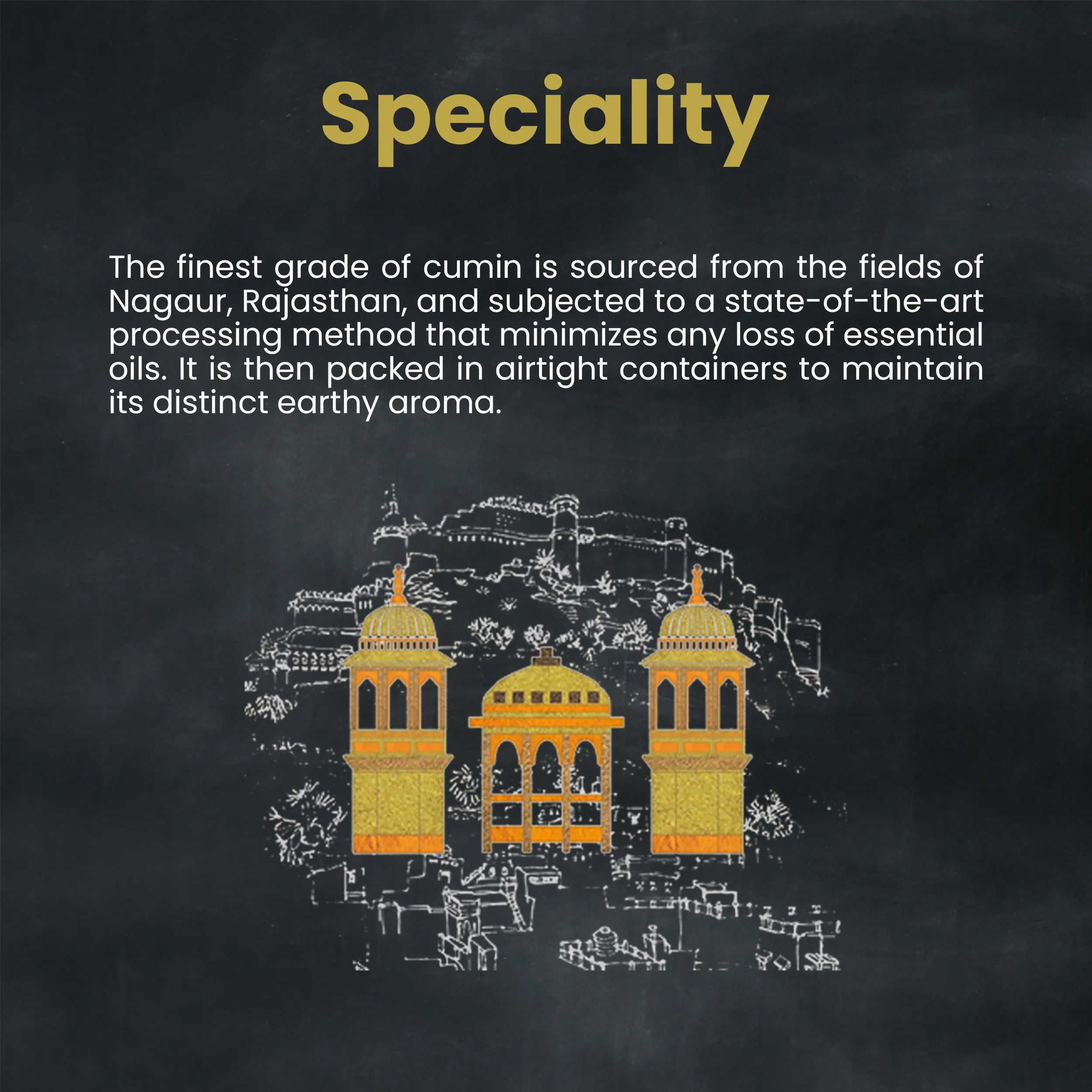 Orika Monthly Essential Pack 400g - Orika Spices India